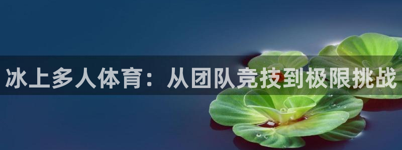 中欧体育kok