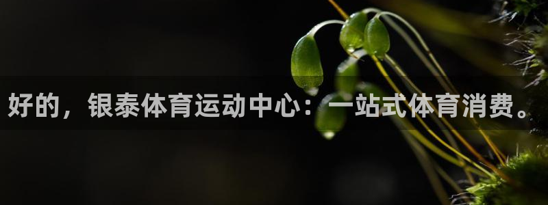 中欧体育网站