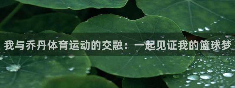 中欧体育在线