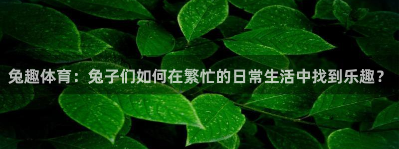 中欧体育平台