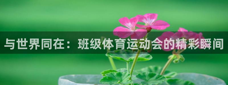 中欧体育集团