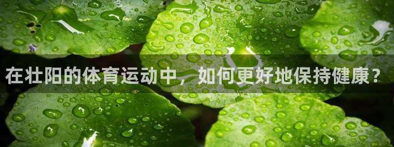 中欧体育在线