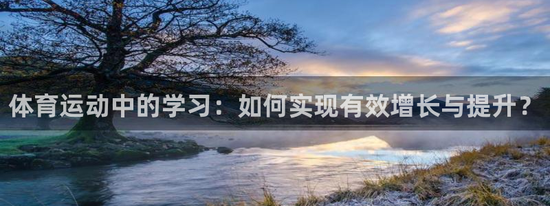 中欧体育网页版