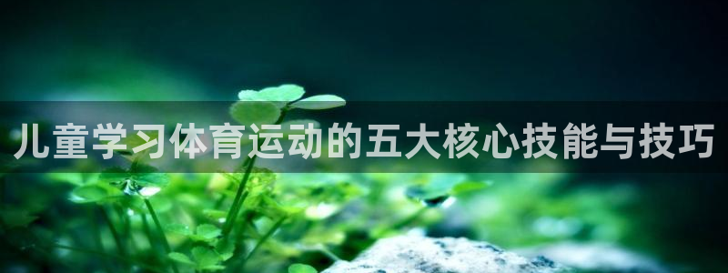 中欧体育kok官网首页