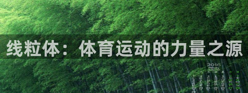 kok新版中欧体育